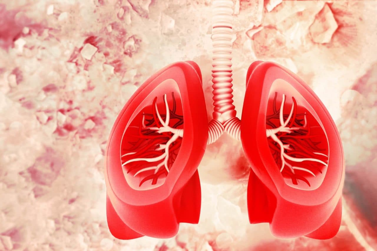 Updated Guidelines in Diagnosis and Management of COPD